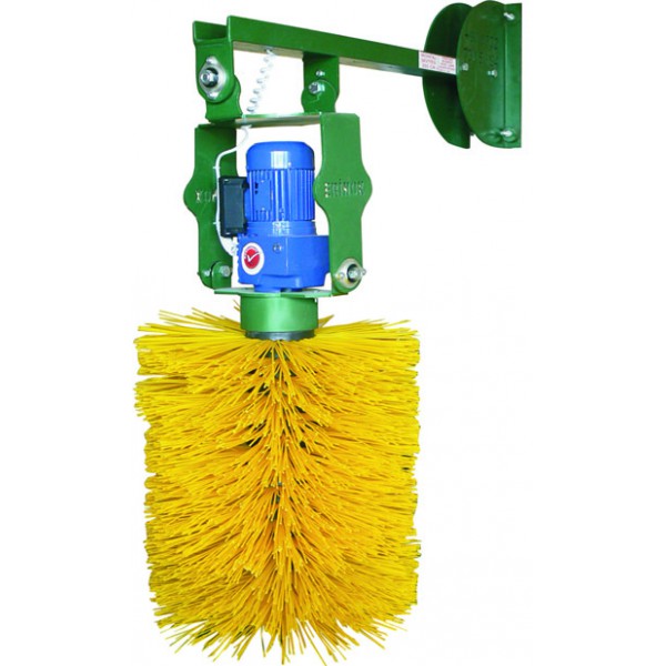 Kaşıma Fırçaları